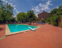 tree, outdoor, swimming pool, ground, pool, swimming, pool table, water